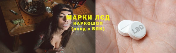 ешки Алексин